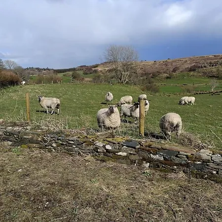 Vakantiehuis The Wee Hous Cresslough