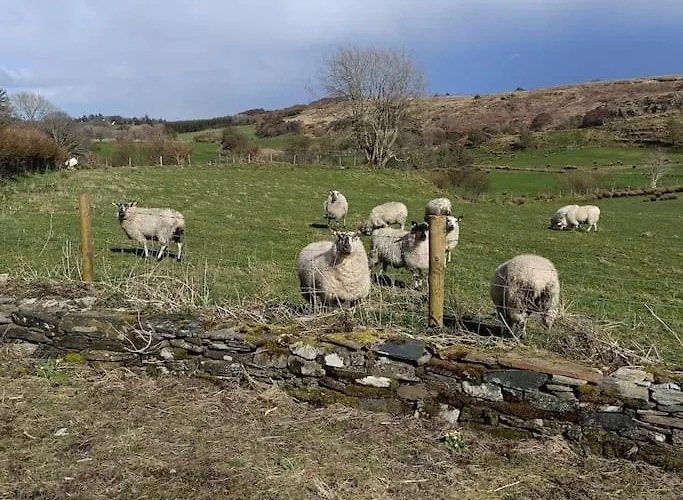 펜션 The Wee Hous Cresslough